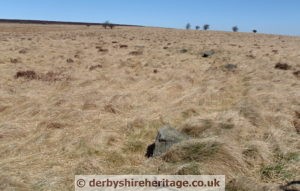 Barbrook III stone circle