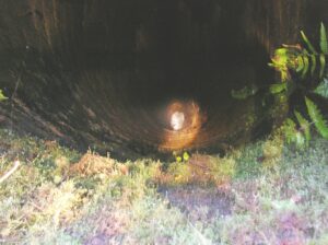 Millclose shaft