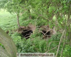 Brough lead works flues