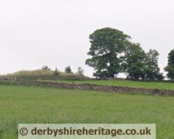 Cromwells Low