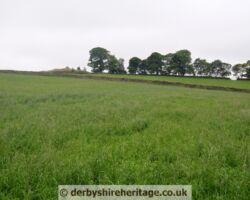 Cromwells Low