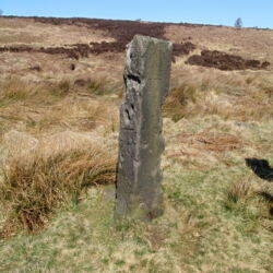 guide stoop Deadshaw