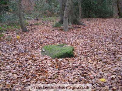 Ecclesall Cup and Ring stone