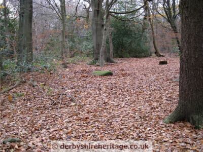 Ecclesall Cup and Ring stone