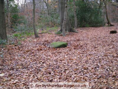 Ecclesall Cup and Ring stone