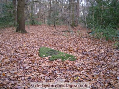 Ecclesall Cup and Ring stone