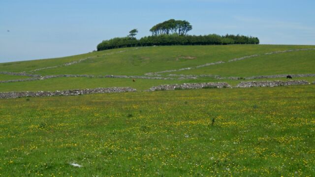 Minninglow