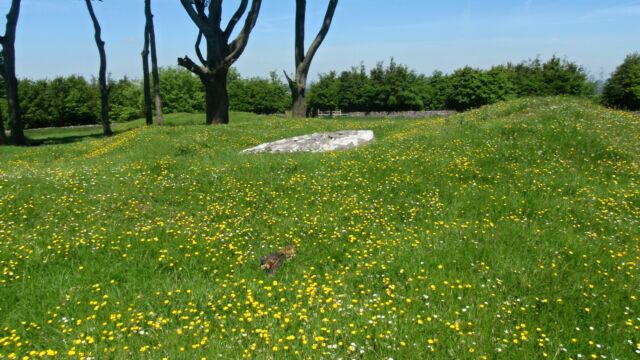 Minninglow