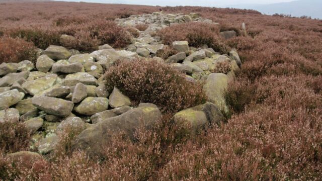 Raven Tor 3 ring cairn