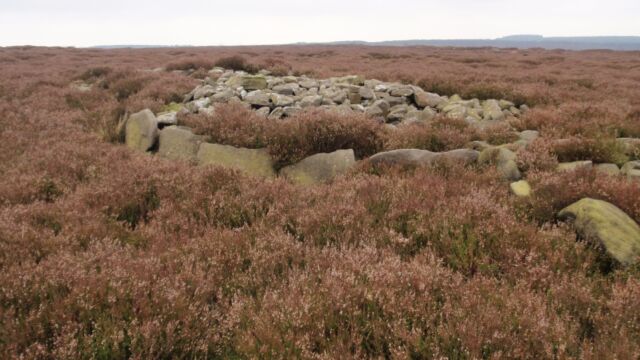 Raven Tor 3 ring cairn Raven Tor 3 ring cairn