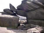 Carl Wark from Higger Tor