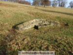 Chatsworth Park water troughs