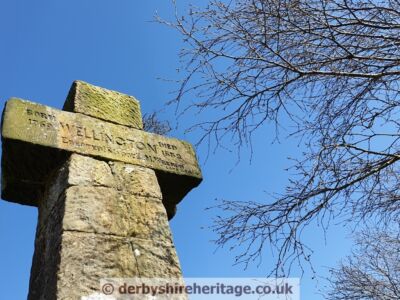 Wellington's Monument cross face
