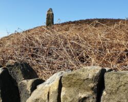 Beeley Moor guide stoop