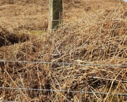 Guide Stoop Beeley Moor
