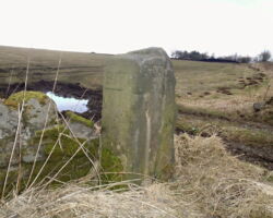 Guidestoop Beeley Moor