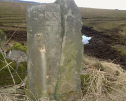 Beeley Moor Guidestoop