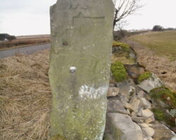 Guide stoop Beeley Moor
