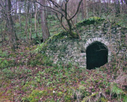 Alport cupola Alport cupola