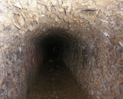 Alport cupola Alport cupola