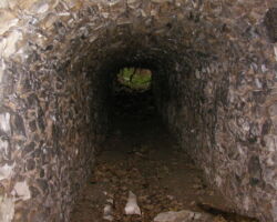 Alport cupola Alport cupola