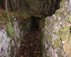 Alport cupola Alport