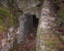 Alport cupola Alport cupola