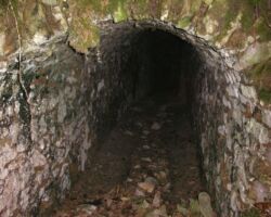 Alport cupola cupola flue