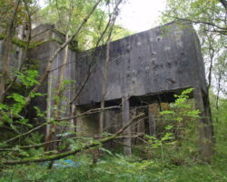 BLF Buxton Lime Firm