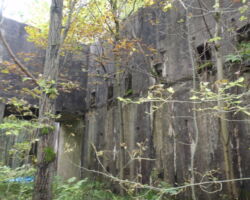 BLF Buxton Lime Firm