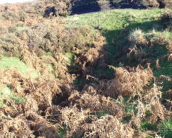 Beeley Moor coal pits