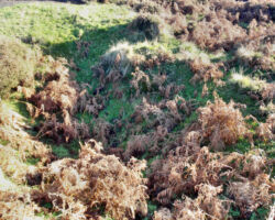 coal pits on Beeley Moor