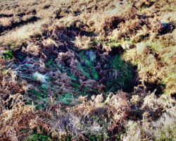 Beeley Moor coal pits