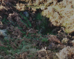Beeley Moor coal pit