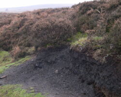 Beeley Moor coal outcrop