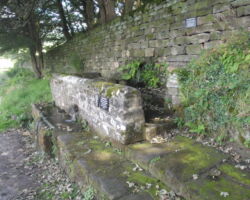 Birchover Mires trough