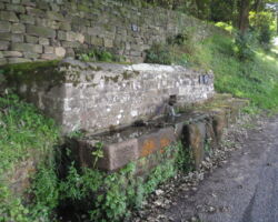 Birchover Mires trough