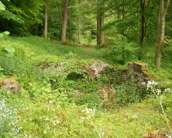 Bradford Dale springwater pump