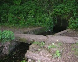 Bradford Dale spring