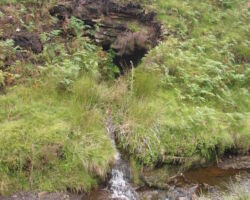 Goyts Moss sough