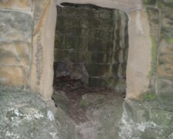 St Mary's Well Hardwick Hall