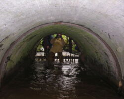 Magpie Sough entrance