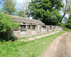 listed pig styes