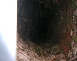 Watts Grove mine shaft Watts Grove mine shaft