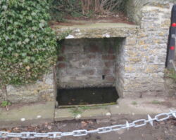Tissington Yew Tree Well Tissington Yew Tree Well