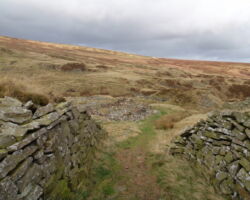 Reeve Edge quarry