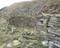 Reeve Edge quarry