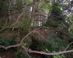 overgrown chapel near Ogston