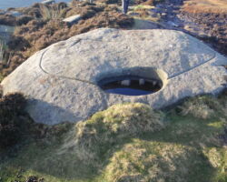 grouse drinking bowl