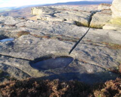 grouse water bowl